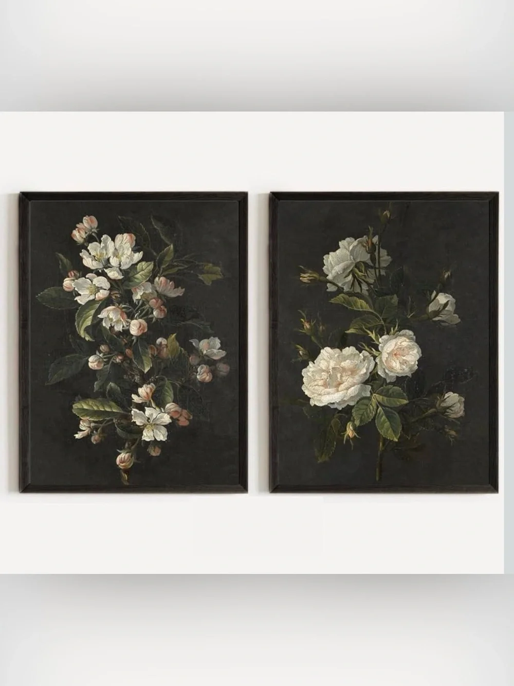 Botanical Framed Canvas Wall Art Print Set of 2